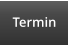 Termin